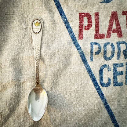 Niagara Falls silver spoon