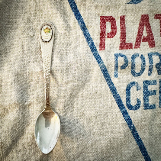 Niagara Falls silver spoon