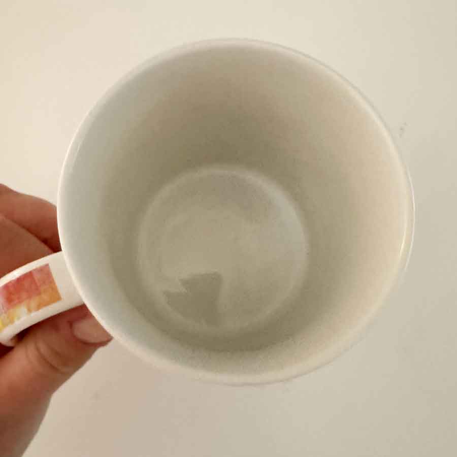 Collectable Starbucks Japan mug