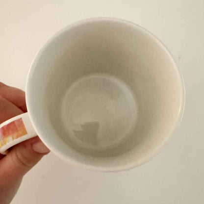 Collectable Starbucks Japan mug