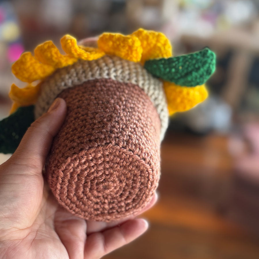 Sunshine the sunflower