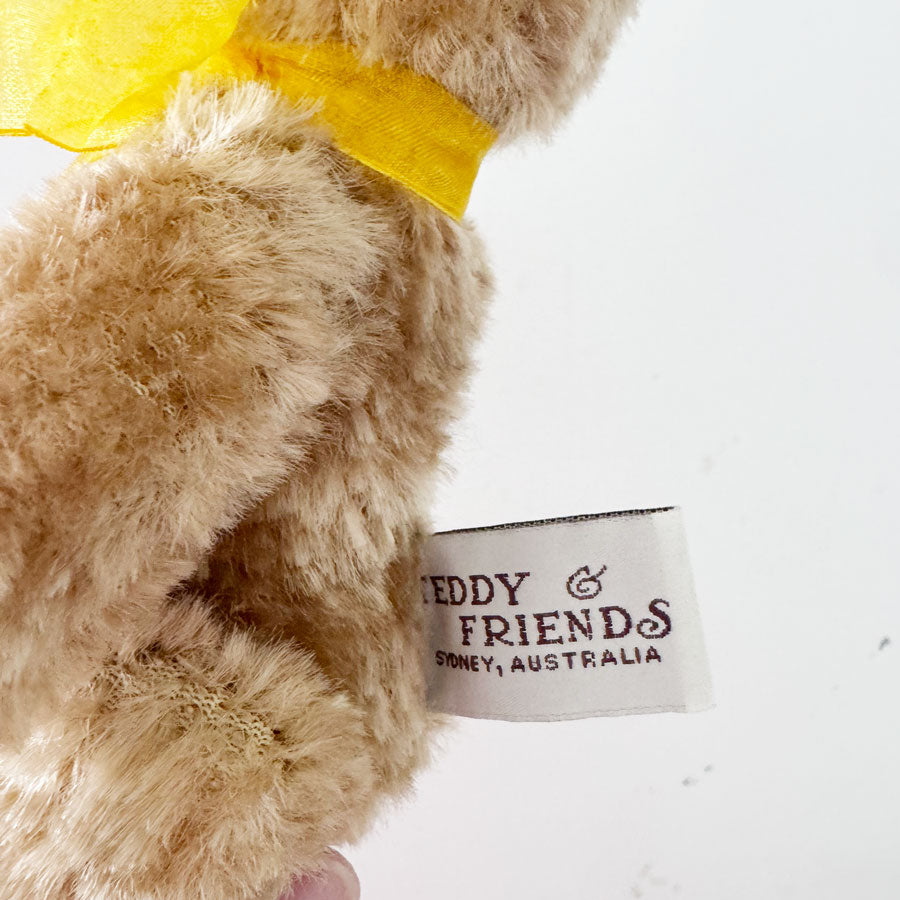 Teddy and Friends little bear