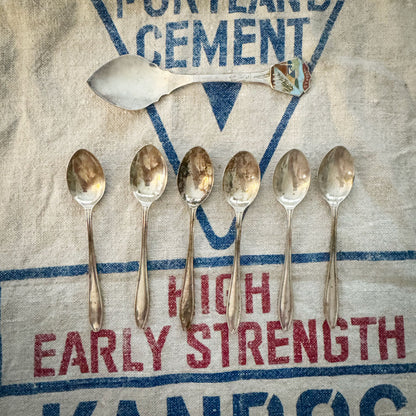 Set 6 pastry dessert spoons