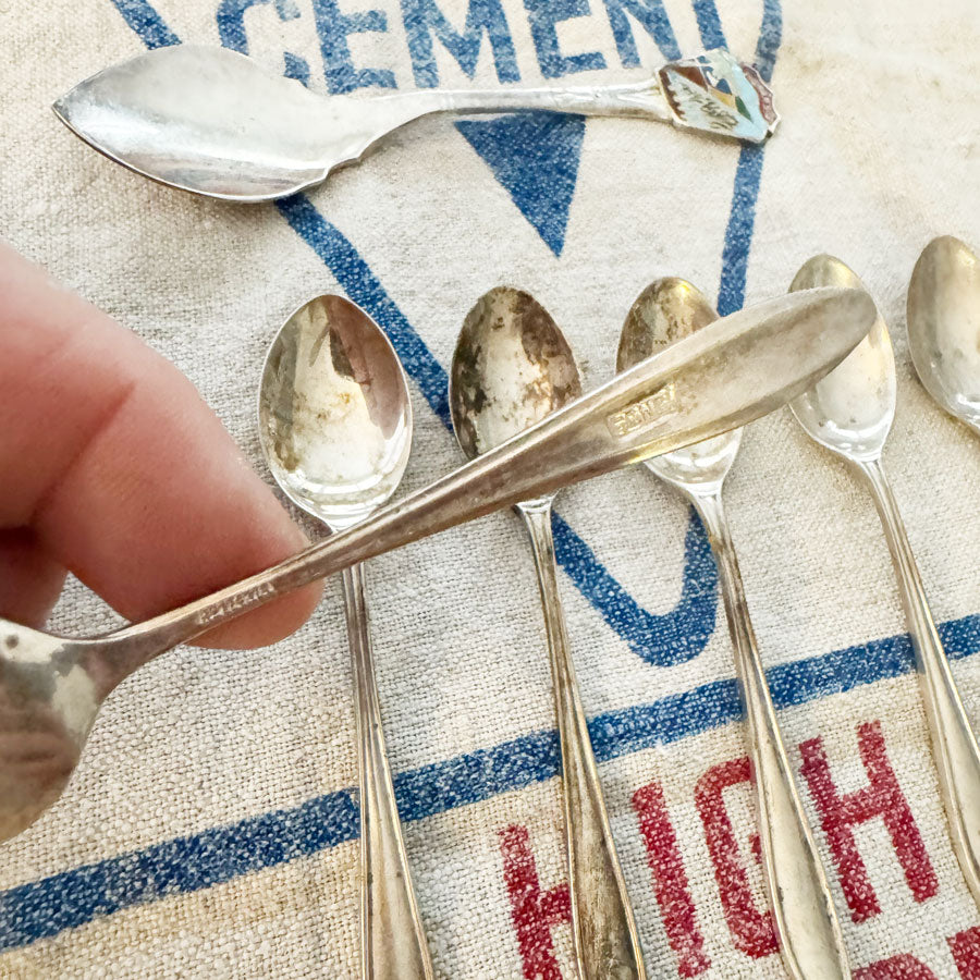 Set 6 pastry dessert spoons